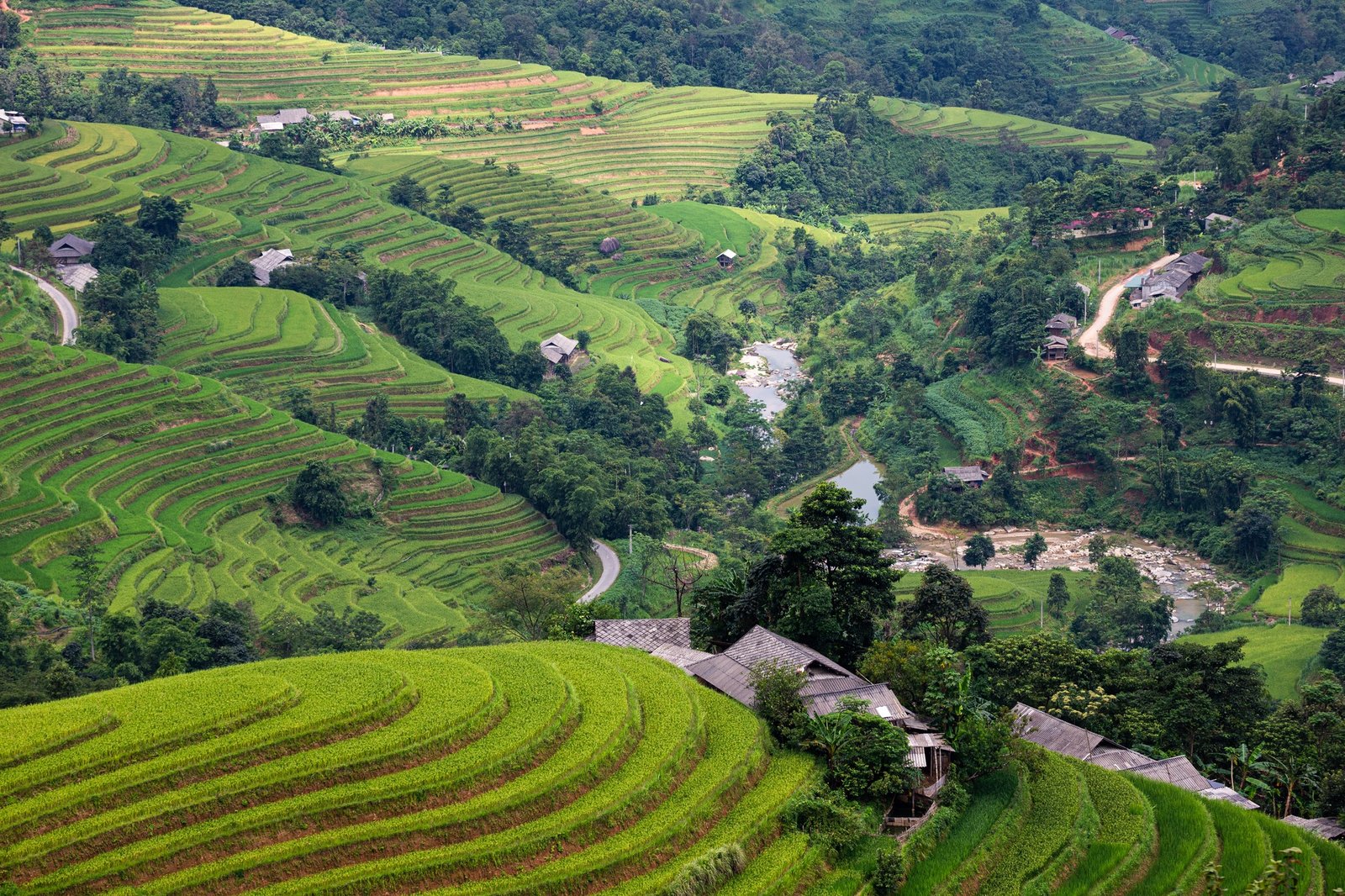 Navigating the Happiness Road: A Master Guide to the Best Ha Giang E-Bike Routes